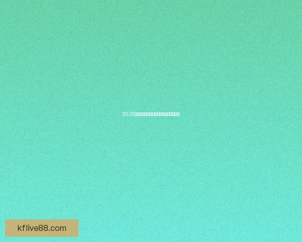 2026世界杯投注攻略与热门赛事预测全面分析