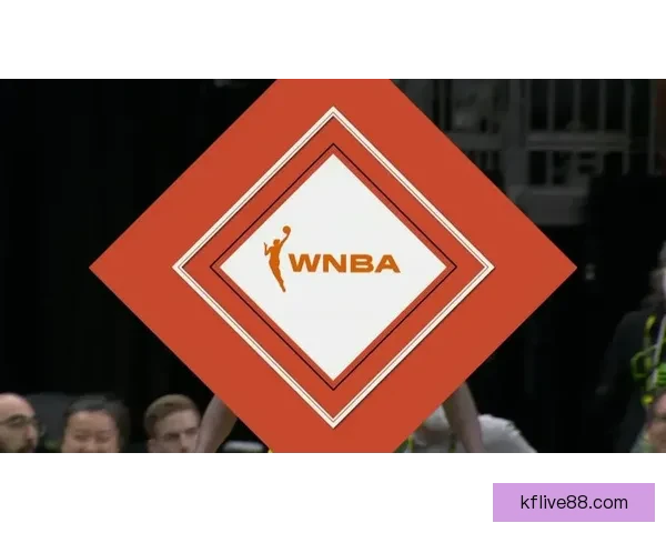 支持WNBA球员工会罢赛推动改革呼声加强以迫使联盟老板做出更多让步